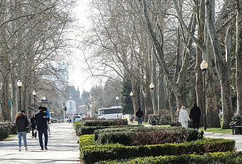 Превышающее климатическую норму на пять градусов тепло задержится на Юге России до 22 марта