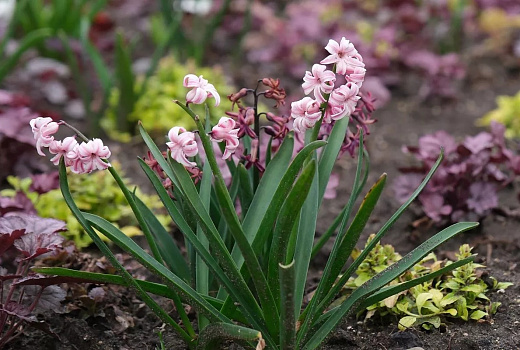 Тепло до +22 градусов ворвется на Юг России 26–27 марта