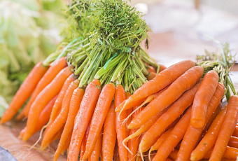 Морковная ботва: суперфуд, который мы чуть не потеряли