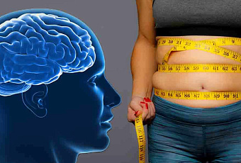 Избыточный вес изменяет структуру мозга