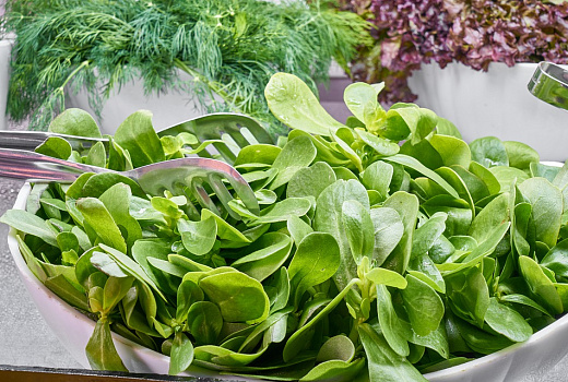 Три веских причины, по которым женщина должна есть шпинат каждый день 