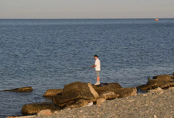 Дальневосточный окунь может стать новым промысловым видом в Черном море