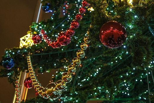 90% краснодарцев украсят дома к Новому году, потратив в среднем 4,5 тыс. рублей