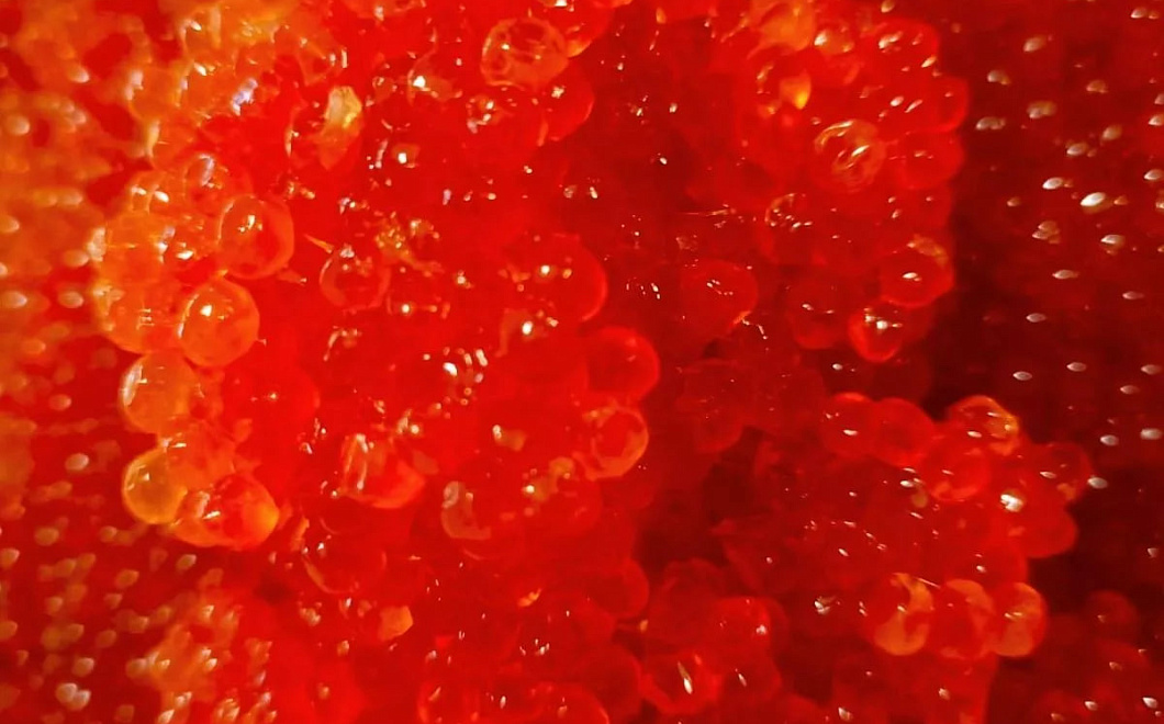 В Крыму к Новому году подешевела красная икра горбуши и кеты