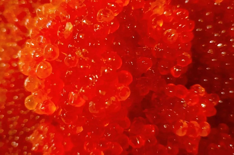 В Крыму к Новому году подешевела красная икра горбуши и кеты