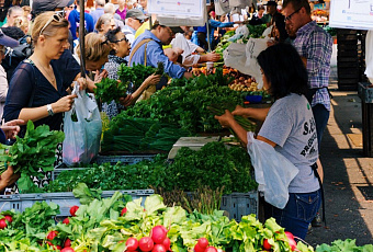 Названы самые востребованные в России специальности