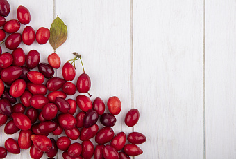 Кислое счастье: полезные свойства кизила