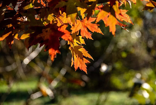 Погода в Краснодарском крае улучшится с выходных: потеплеет до +30°C