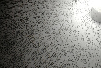 Комары атаковали Анапу: когда насекомых станет меньше