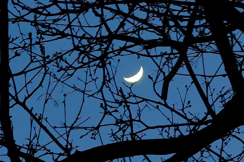 Ночные температуры опустятся до +1 градуса в Краснодарском крае