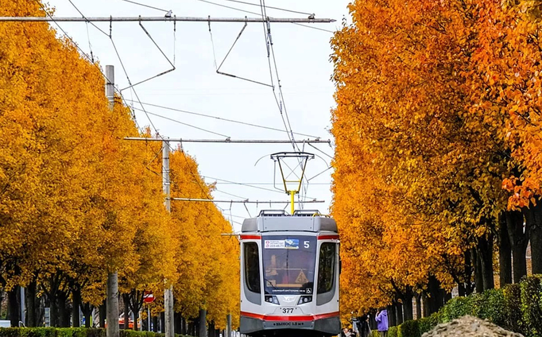 В Краснодаре запустили трамваи с историческими фото к 125-летию движения