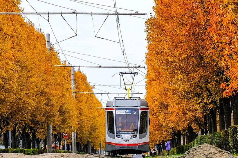 В Краснодаре запустили трамваи с историческими фото к 125-летию движения