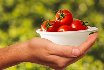 Как быстро и легко очистить помидоры от кожуры 