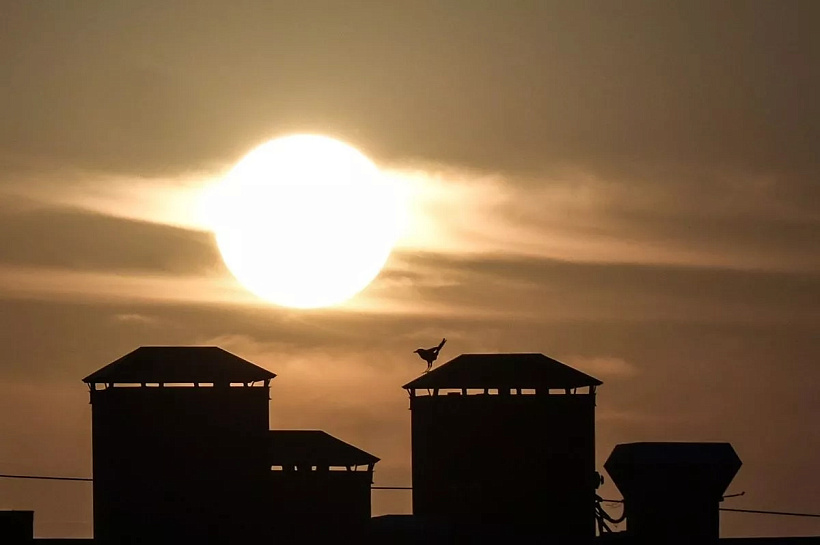 Солнечная активность резко возросла: вспышки высшего класса Х ожидаются в течение суток