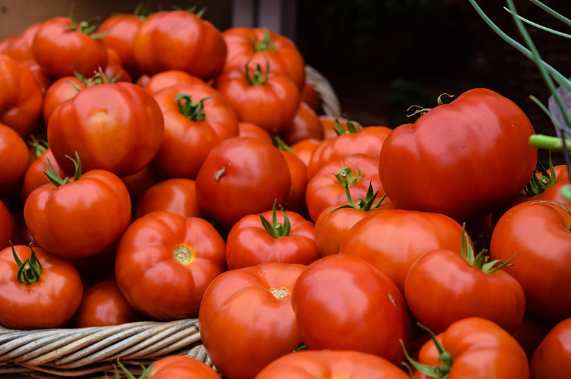 Фермеры Кубани привезли в Краснодар почти 100 тонн продуктов питания