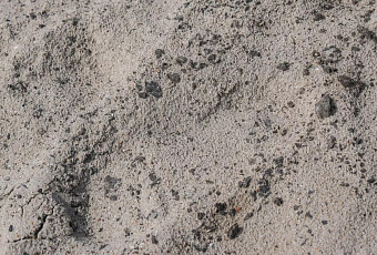 На берегу в Темрюкском районе собрали 180 мешков с мазутом