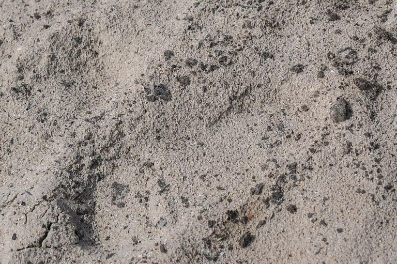 На берегу в Темрюкском районе собрали 180 мешков с мазутом