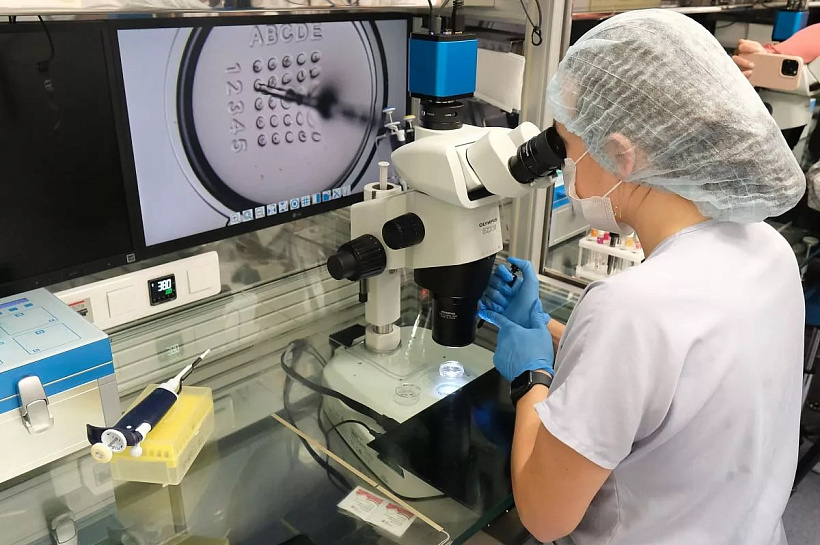 Ученые Кубани создали биопрепарат для лечения осложнений после операций