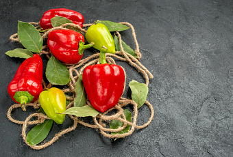 По-домашнему: как самостоятельно вырастить болгарский перец 