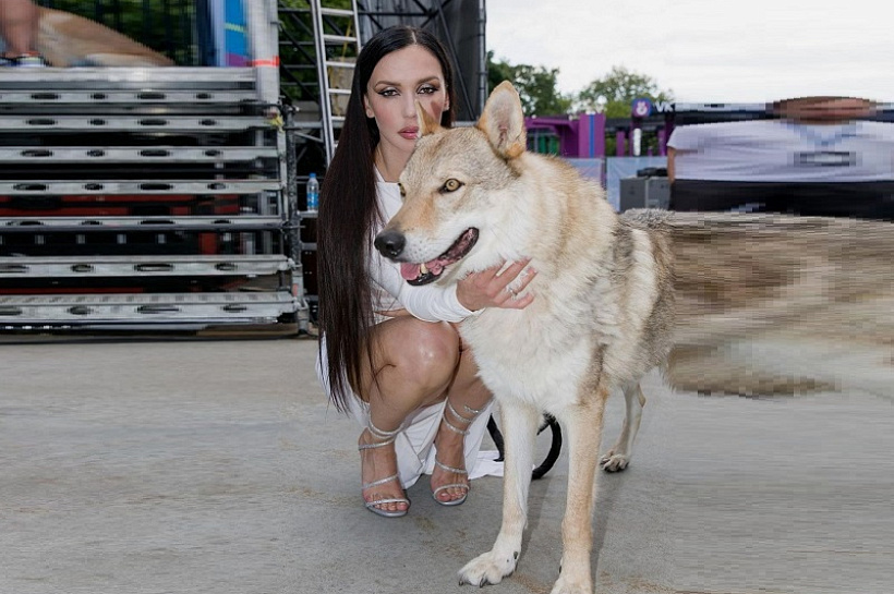 Блогеры возмущены экс-солисткой группы Serebro, которая выгуляла на поводке меньшого брата, заросшего шерстью