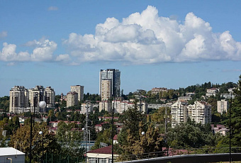 Рынок посуточной аренды в Сочи бьет рекорды по объему и цене