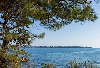 Какая температура Черного моря на курортах Краснодарского края