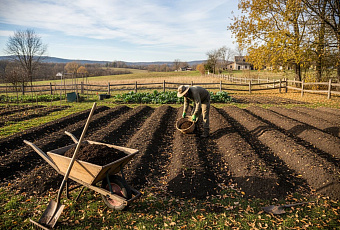 Как восстановить плодородие почвы и подготовить огород к весне 2026