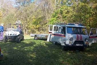 Супруги-грибники найдены живыми после четырех суток в лесу