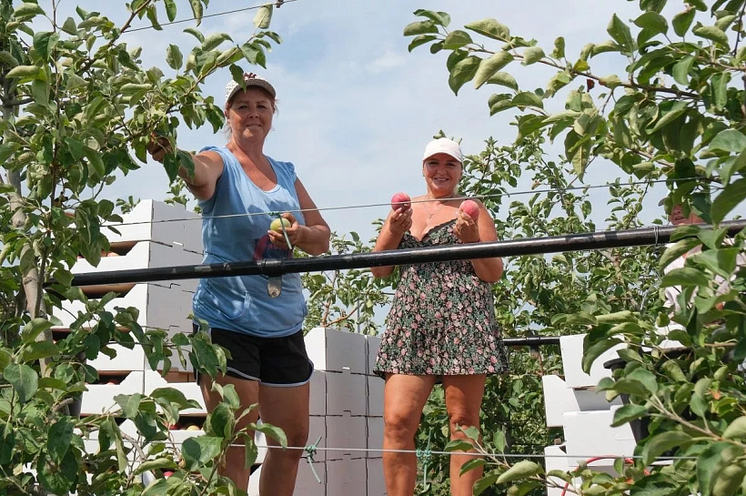 Хутор Веселая Жизнь на Кубани вошел в топ забавных названий России от Росреестра
