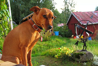 Спрос на услуги по уходу за загородными участками вырос на Кубани