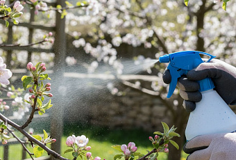Применение медного и железного купороса в саду: сроки и правила обработки
