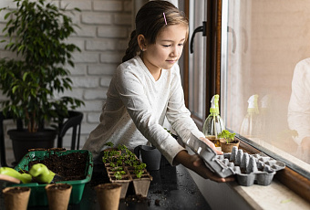 Огород на подоконнике: что съедобное можно вырастить в квартире