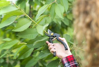 Новый этап: какие работы ждут огородников после зимы