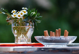 Дымовая завеса: какие продукты помогают бросить курить