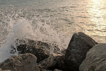 Вода в Черном море у берегов Сочи прогрелась до +11 градусов к концу февраля