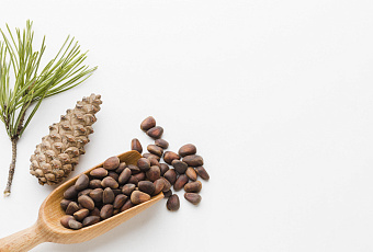 Сила в каждой скорлупке: польза кедровых орешков 