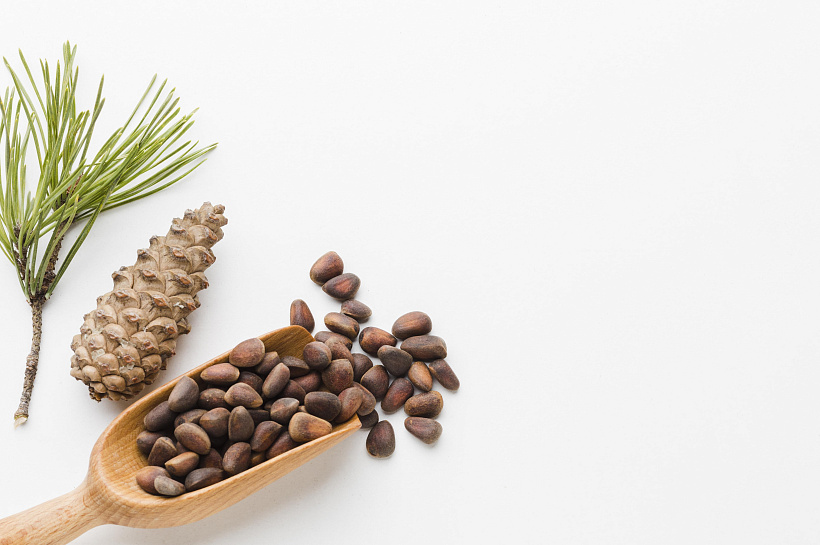 Сила в каждой скорлупке: польза кедровых орешков 