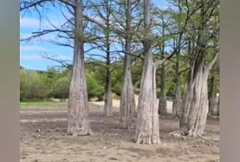 Что случилось с Кипарисовым озером под Анапой