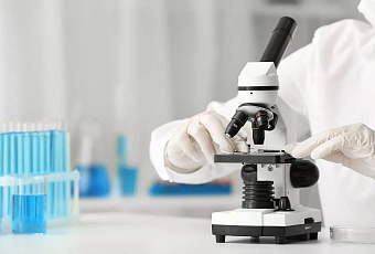 Ученые создадут первую в России цифровую модель человеческого мозга