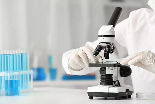 Ученые создадут первую в России цифровую модель человеческого мозга