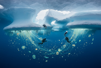 Арктика запускает скрытый биологический процесс, меняющий модели океанов