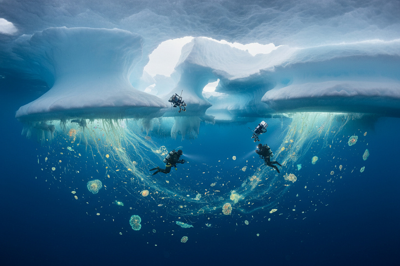 Арктика запускает скрытый биологический процесс, меняющий модели океанов