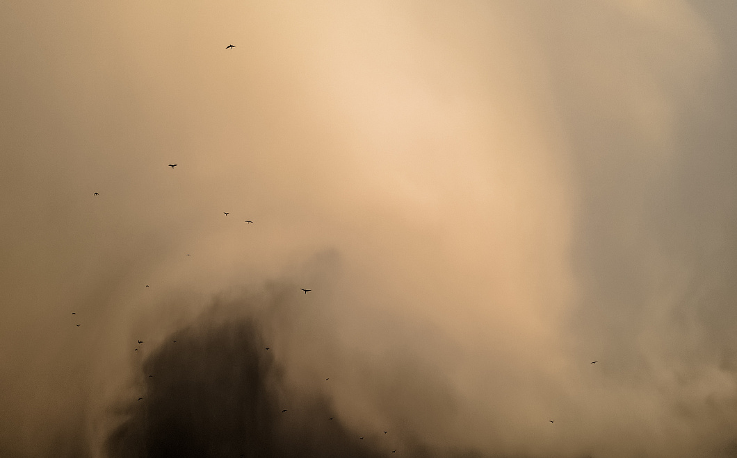 Ученые предупредили о пыльных бурях в Краснодарском крае