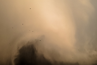 Ученые предупредили о пыльных бурях в Краснодарском крае