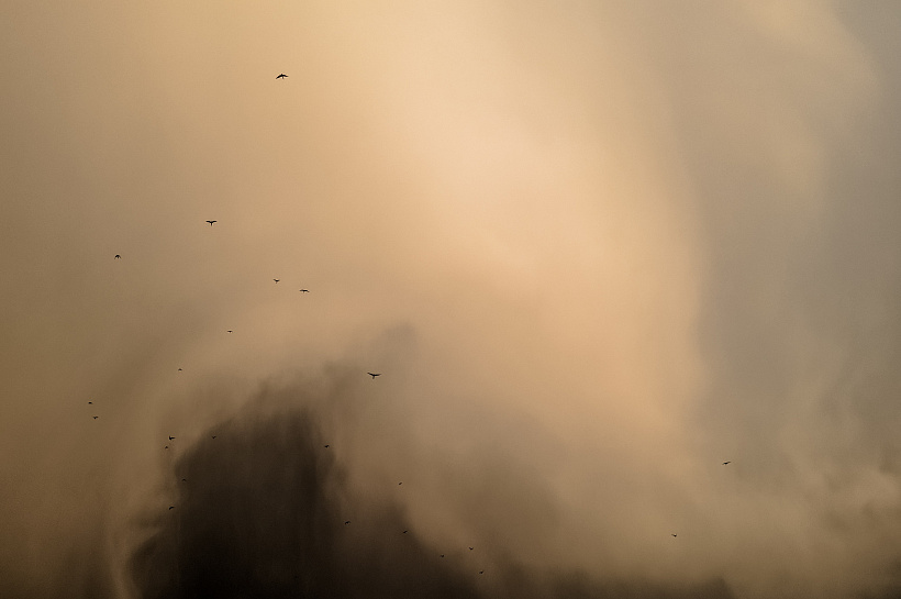 Ученые предупредили о пыльных бурях в Краснодарском крае