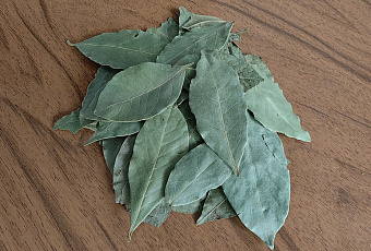 Лавровый лист: делится молодостью, накопленной веками