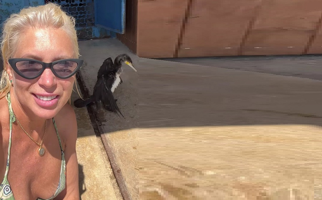 Алене Свиридовой вместо розового фламинго весь вечер танцевал какой-то баклан