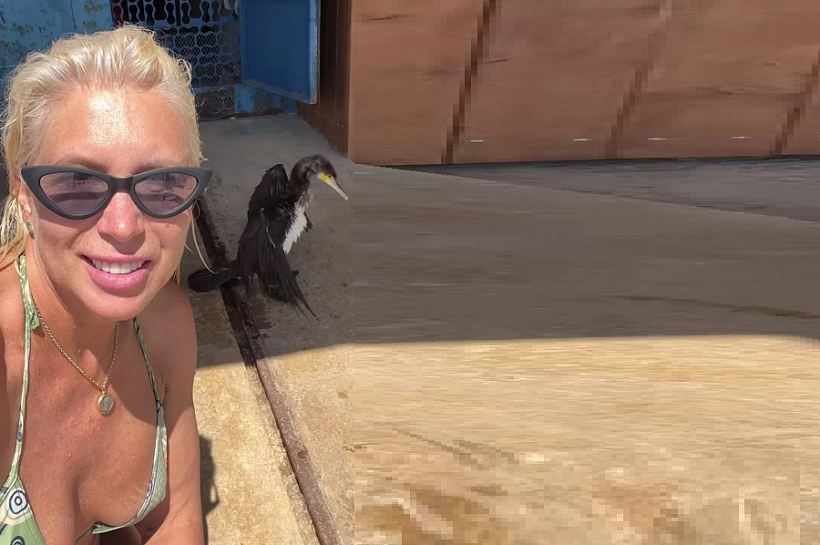 Алене Свиридовой вместо розового фламинго весь вечер танцевал какой-то баклан