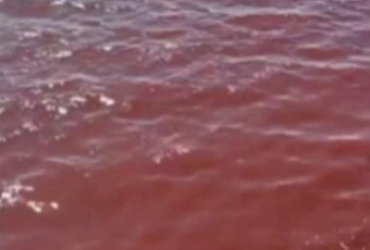 Чёрное море в Новороссийске стало красным