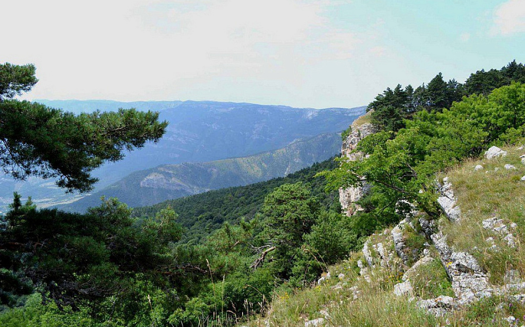 Три особо охраняемых природных территории создадут в Краснодарском крае в 2022 году 